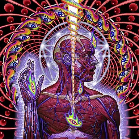 Tool 2 Tool + Lateralus + Album